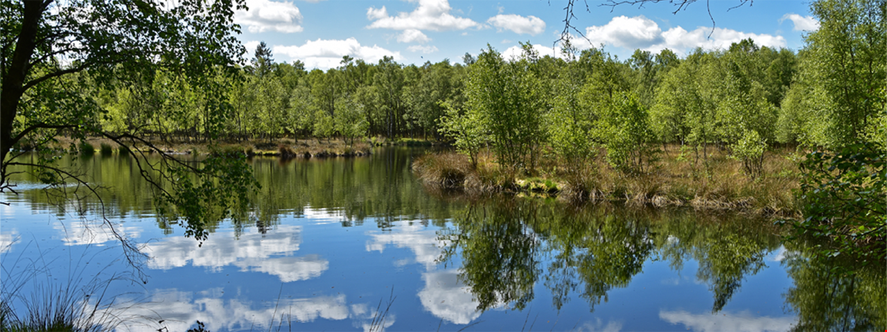 ORION Pharma spendet 10.000 € zum Schutz der Moore.  OrionPharma.png