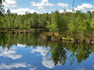 ORION Pharma spendet 10.000 € zum Schutz der Moore.  OrionPharma.png